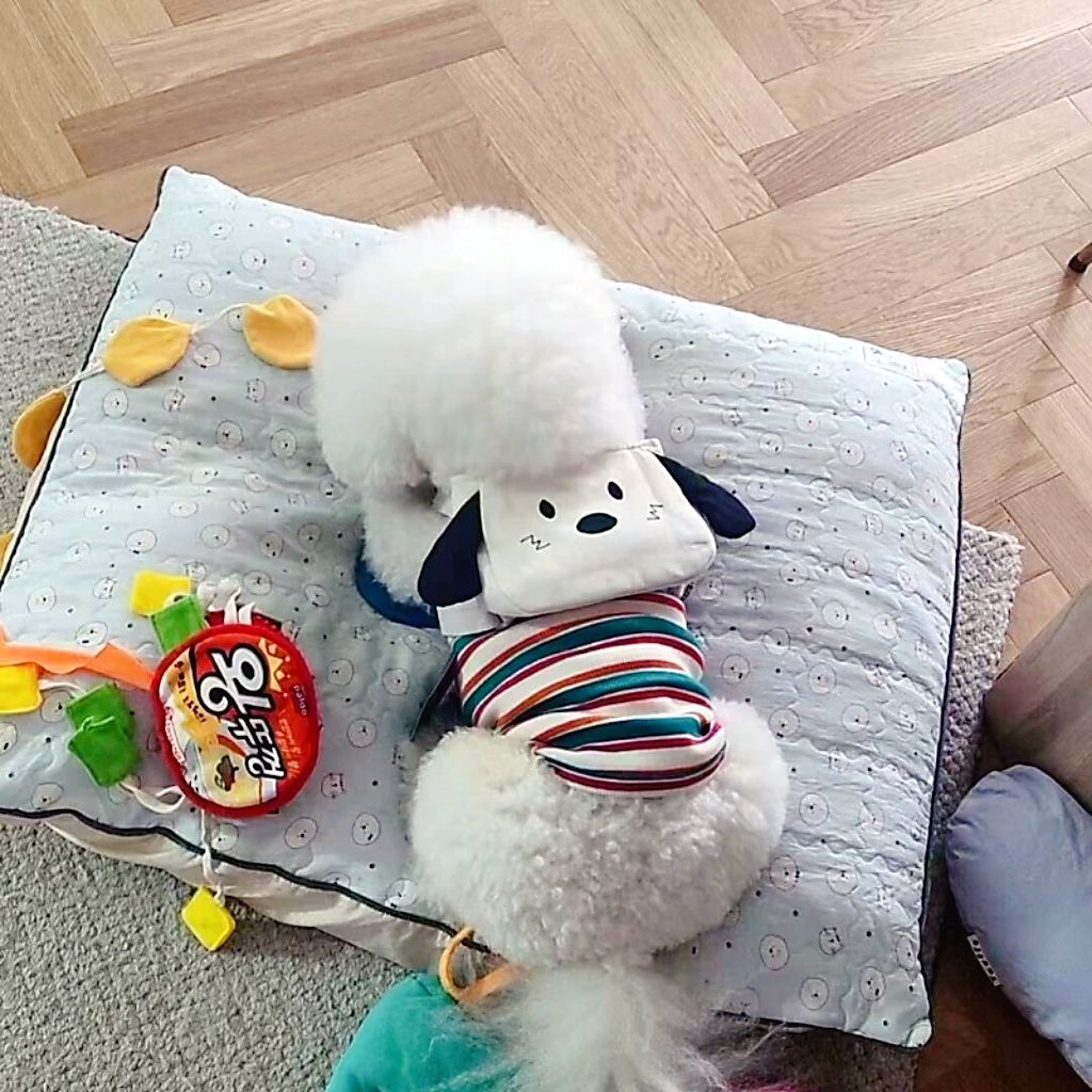 夏季可爱卡通狗狗自背牵引包图片
