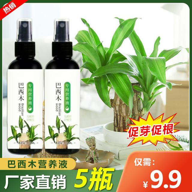 巴西木专用营养液绿叶促芽促根,鲜花速递/花卉仿真/绿植园艺,介质/营养土,淘宝优惠券,粉丝福利购,淘宝优惠卷