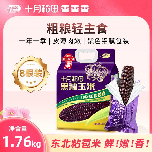 粗粮轻食 十月稻田黑糯玉米棒玉米粒香甜糯东北黏苞米早餐食材