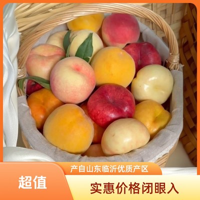 桃子盲盒；随机3-6个品种蒙阴黄桃蜜桃蟠桃油桃桃子应季4.5斤