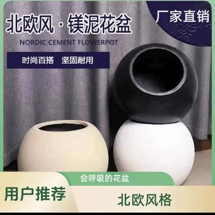 简约轻奢风办公室客厅落地 万家球形镁泥盆黑金刚鸭脚木高山榕欧式