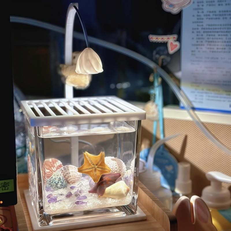 【我也是有派大星啦】海星生态缸小型桌面鱼缸造景摆件斗鱼专用缸