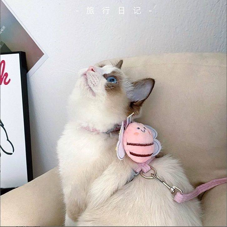 猫咪狗狗小蜜蜂牵引绳挣脱工字外出背带防脱宠物专用调节小型绳子,宠物/宠物食品及用品,猫牵引绳,淘宝优惠券,粉丝福利购,淘宝优惠卷