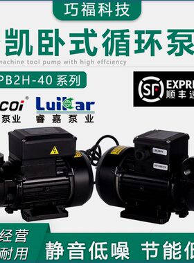 可定制LDPB2H-40TP洛锐凯Roc割数控机床水箱泵高压循环铜线离心泵