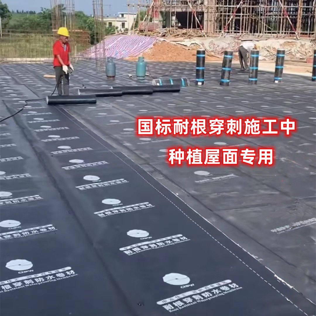 SBS耐根穿刺4mm种植屋聚合物改性防水卷材火烤自粘防水卷材沥青