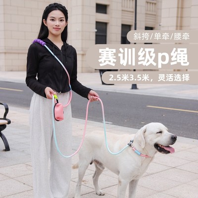 四季通用加粗加长p绳中大型犬狗链牵引绳防爆冲可调节遛狗绳