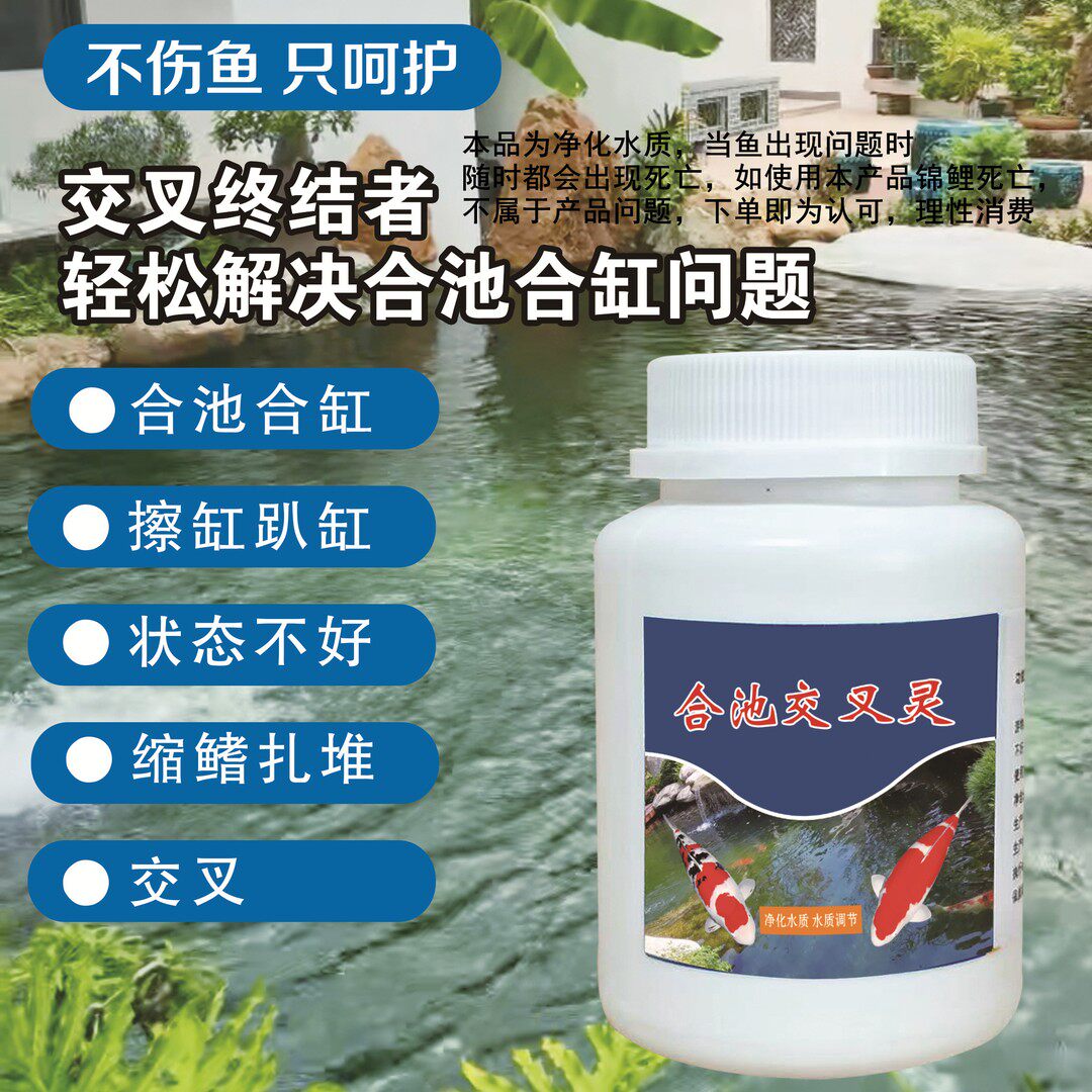 锦鲤和池交叉灵。充血合池 合缸  交叉 锁旗 状态不好擦身蹭缸