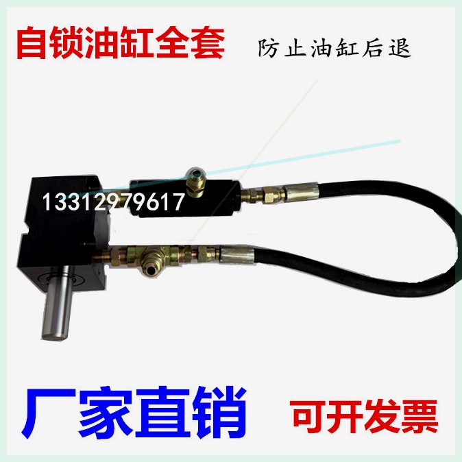 可定制自锁油缸模具油缸专用防止油缸后退进口自锁阀CPTS-03自锁