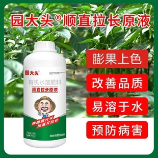 园大头辣椒高纯度高效肥使植物开花更多生根壮苗膨大拉直催芽授粉