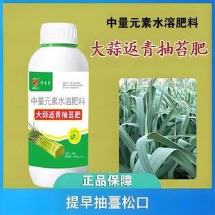 大蒜返青抽苔肥提早抽薹松口根粗苗壮蒜头大产量高水溶肥