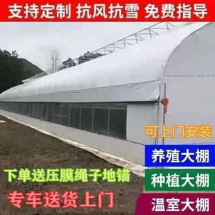 养殖大棚全套大棚骨架家用温室种植棚专业养鸡棚羊棚牛棚养猪大棚