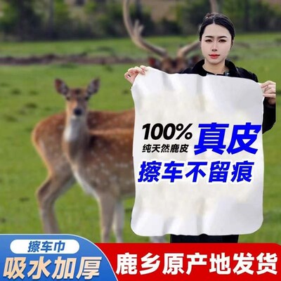 梅花鹿整张鹿皮巾高档保养多用途擦车清洁擦玻璃纯正鹿皮鹿乡发货