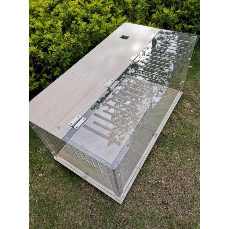 80基础笼仓鼠笼鸡笼透明宠物笼亚克力金丝熊透明笼大笼子饲养箱,宠物/宠物食品及用品,笼子,淘宝优惠券,粉丝福利购,淘宝优惠卷