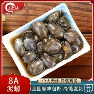 .宁波正宗黄泥螺醉泥螺三北泥螺桃花泥螺手工泥螺龙山8A泥螺1