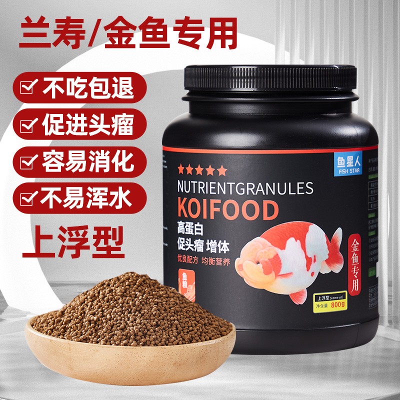 金鱼专用上浮下沉款高蛋白鱼粮兰寿泰狮专用起瘤靓鳞育肥