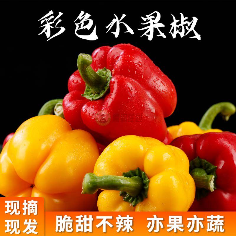 【京东快递】山东现摘红黄双色五彩椒水果椒脆嫩新鲜灯笼椒1/5斤