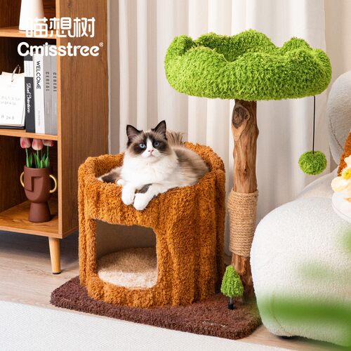 Cmisstree/喵想树树洞实木猫爬架猫窝猫树一体  四季通用猫窝