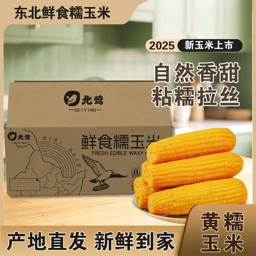 [试吃3根]25年东北头茬黄糯玉米10根/真空包装发货