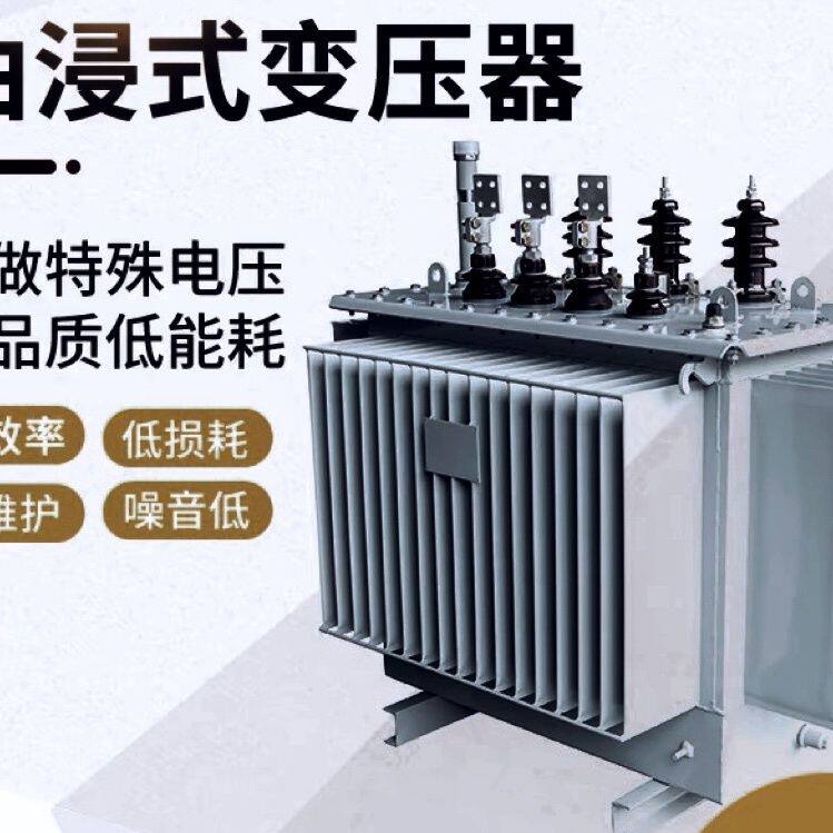 三相油浸式高压变压器10千伏变400v大型变压器工业级大功率变压器