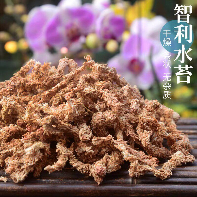 智利进口毛毛虫水苔蝴蝶兰专用栽培介质苔藓兰花土保湿