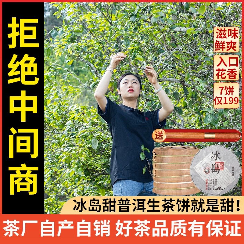 2020年冰岛春茶原料压制4年干仓存放陈化 源头 价格低品质好！