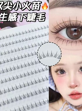【免胶下睫毛】双尖小火苗分段式自然妈生感漫画透明梗假睫毛SWQ