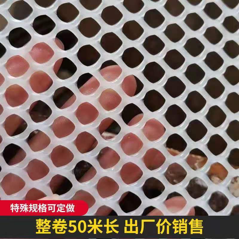 加厚养殖鸡鸭育雏漏粪网防卡脚养蜂网言养蚕网阳台防漏网塑料平网