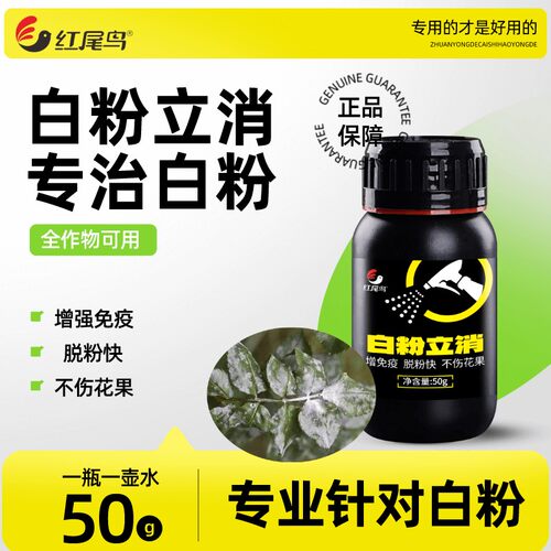 白粉立消--绿色守护 一瓶解决多种植物白粉病，全效防治，安全高