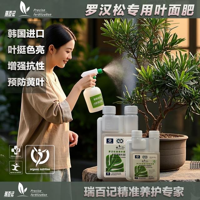 瑞百记罗汉松氨基酸叶面肥防黄枯落促进长芽罗汉松专用营养液