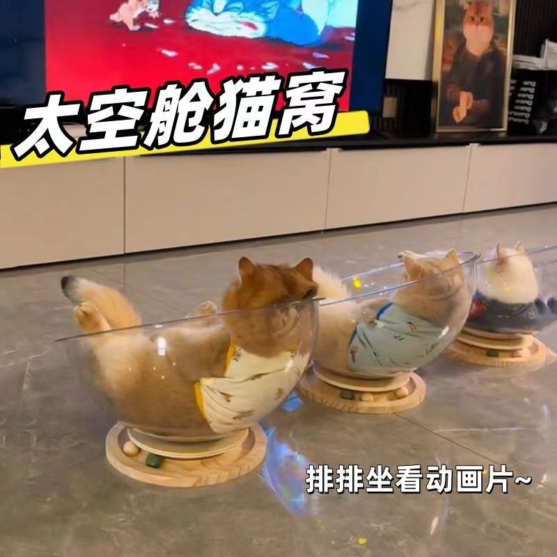 太空舱猫窝四季通用大透明密度板塑料转盘宠物小幼猫睡觉猫床