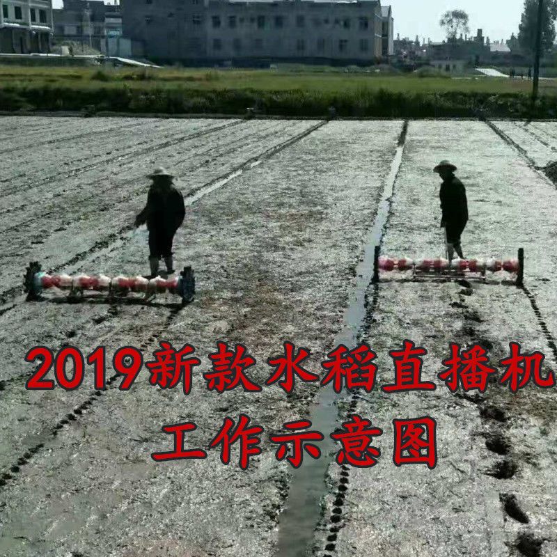 新型水稻直播机 芽种高精度 播种机 人力手拉稻谷穴播机 条播机