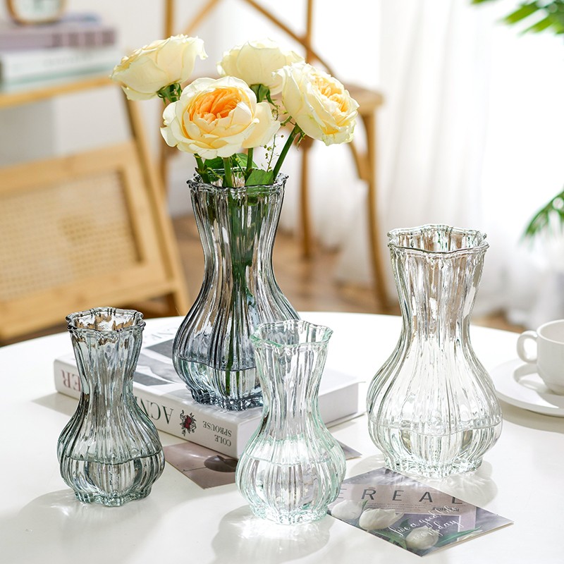 创意蒜头款玻璃花瓶高级感水养鲜花插花客厅餐桌摆件水培田园花器