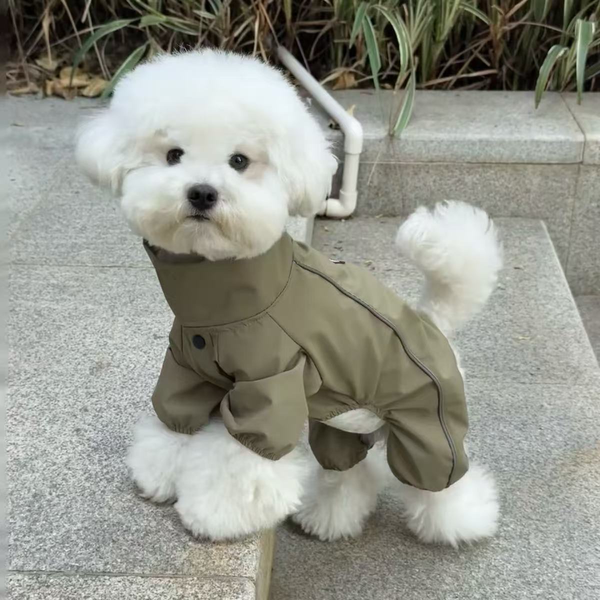 狗狗衣服酷帅狗狗衣服春秋新款冲锋衣洋气帅气宠物比熊法斗泰迪小