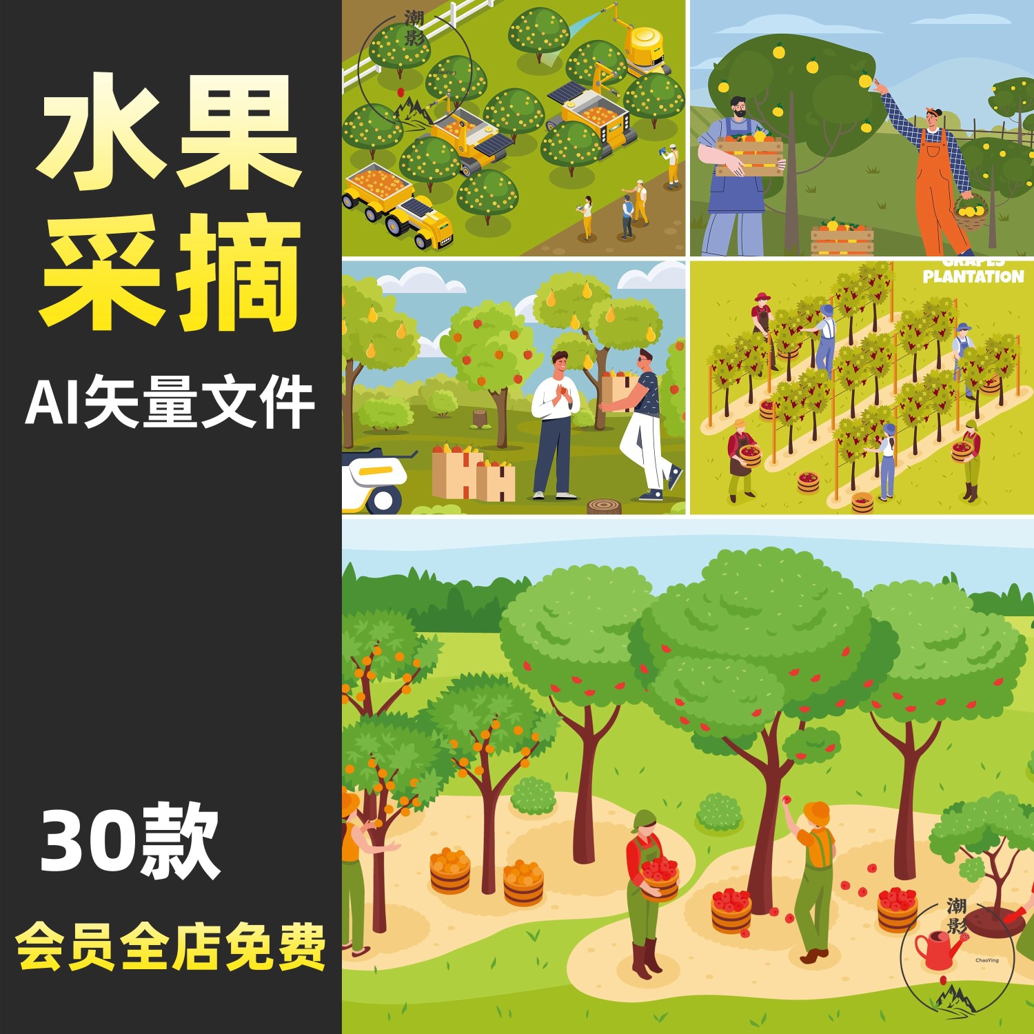 .卡通种植采摘水果农场果园葡萄架秋天收获插画图片AI矢量设计素