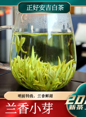 4号兰香小芽2025年爆卖12万单的溪龙原产地安吉白茶，浓郁兰花香