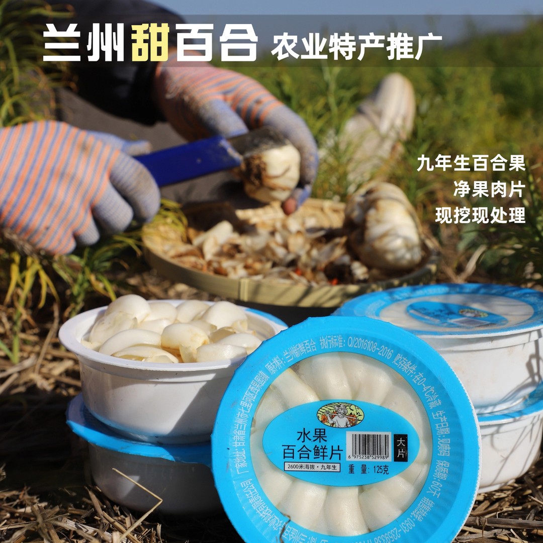 【直播推广】兰州甜百合9年整大果净果肉片无需处理无添加无浪费