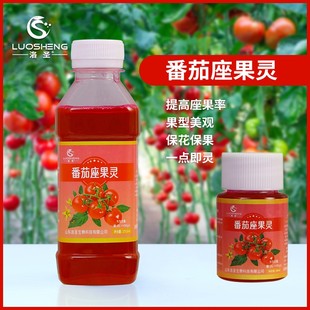 番茄授粉座果灵点花坐果灵保花保果防落花微量元素水溶肥