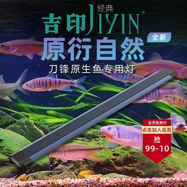 吉印原生鱼溪流缸专用灯防水照明灯全光谱爆藻灯led鱼缸灯水族灯,宠物/宠物食品及用品,造景/装饰,淘宝优惠券,粉丝福利购,淘宝优惠卷