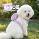 宠物猫狗狗胸背带工字型背心式 透气可调节中小型狗狗狗绳牵引绳