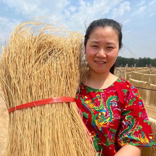 农家燕子红薯粉条山东枣庄纯手工自然晾晒地瓜红苕粉条种了个田