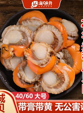 买10包送5包小范海鲜40/60扇贝肉无泥无沙新鲜熟冻每包150g