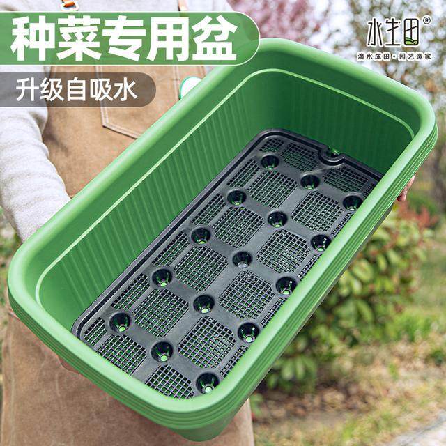 种菜专用盆阳台种菜长盆种菜盆长方形种植盆塑料花盆特大厂家直销,鲜花速递/花卉仿真/绿植园艺,花盆,淘宝优惠券,粉丝福利购,淘宝优惠卷