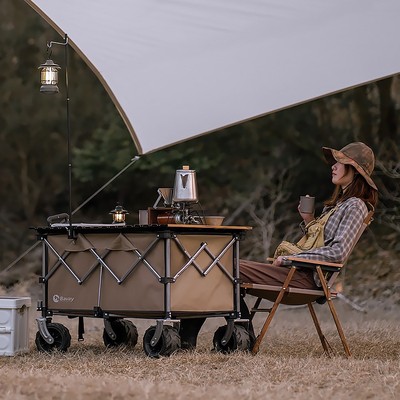 北欢Bavay/露营车plusSF200野营折叠推车户外桌板野餐儿童可躺