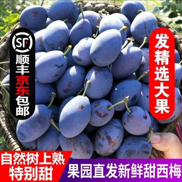 顺丰京东包邮大西梅新鲜女神蓝蜜脆甜孕妇水果当季整箱