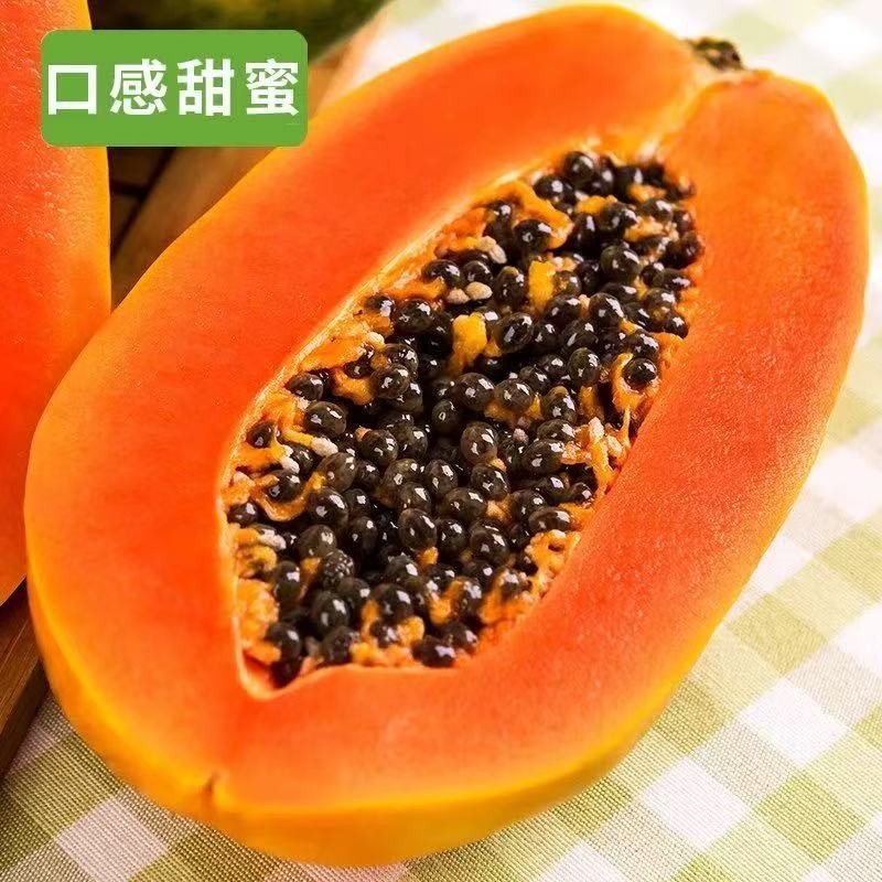 新鲜红心牛奶木瓜 应当季孕妇水果青皮番木瓜树上熟冰糖心