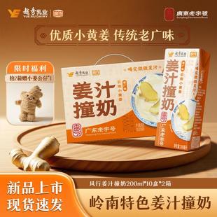 拍2箱赠毛绒公仔 风行牛奶岭南特产姜汁撞奶200ml*10盒/箱-送礼