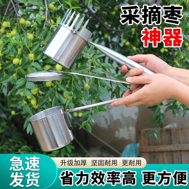 2024新款采果山枣柏树神器小枣工具扎手大号专用酸枣不锈钢摘果器
