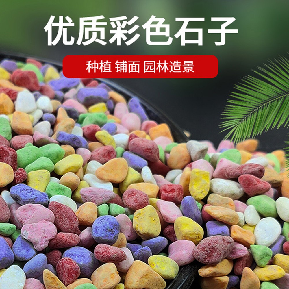 五彩石白色黄色家庭工艺彩色石子多肉铺面石园艺造景专用养花水培