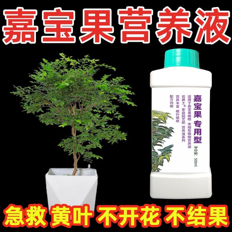 沙巴嘉宝果专用肥料树葡萄嘉宝果树肥料营养液催花剂磷钾肥促花果,鲜花速递/花卉仿真/绿植园艺,家庭园艺肥料,淘宝优惠券,粉丝福利购,淘宝优惠卷