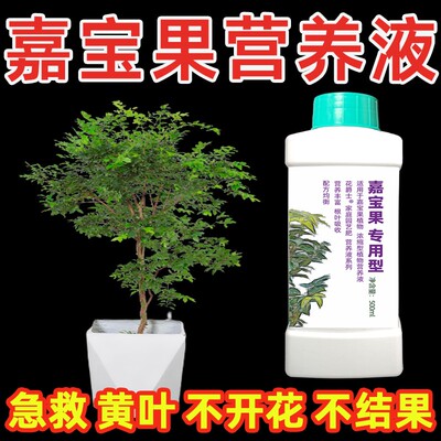 沙巴嘉宝果专用肥料树葡萄嘉宝果树肥料营养液催花剂磷钾肥促花果